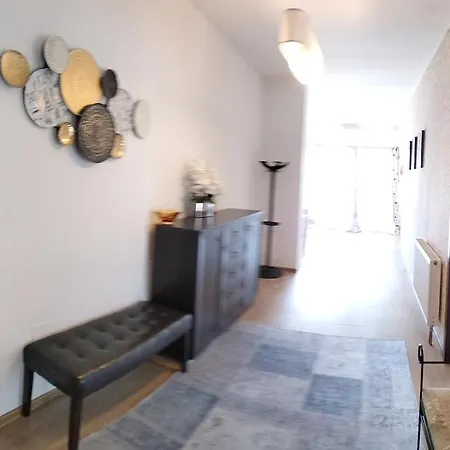Apartment Apartament De Lux Cu Terasa Timisoara