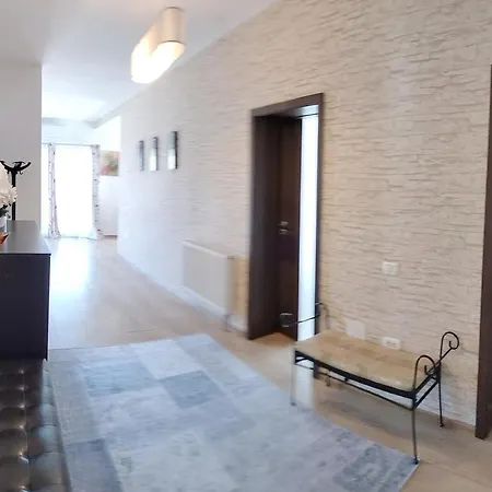 Apartament De Lux Cu Terasa * Timisoara