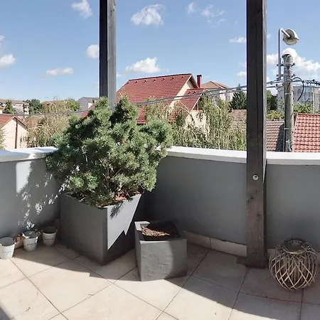 Apartament De Lux Cu Terasa Timisoara