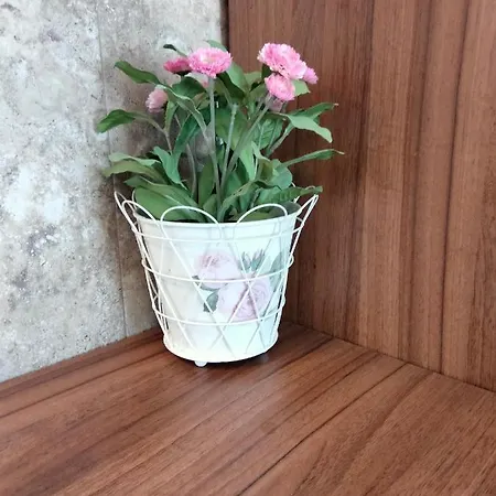 Appartamento Apartament De Lux Cu Terasa